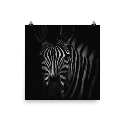 das Starren des Zebras - Poster Kuratoren von artlia 25x25 cm artlia
