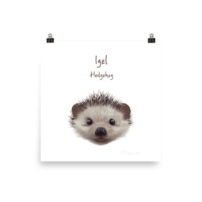 Igel - Tier Poster für Kinder dear.bon.vivant 25x25 cm artlia