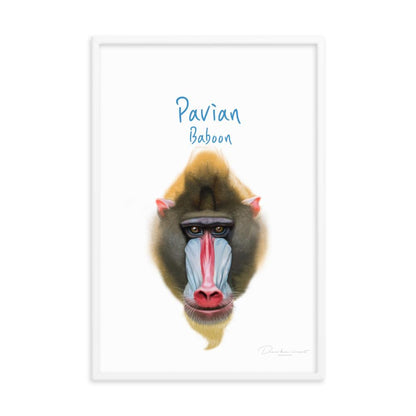 Pavian - Tier Poster für Kinder dear.bon.vivant artlia