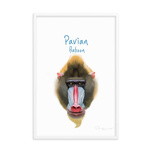 Pavian - Tier Poster für Kinder dear.bon.vivant artlia
