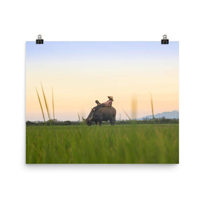Peaceful Evening - Poster artlia 16×20 artlia