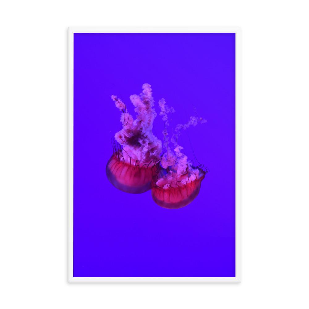 Pinke Qualle - Poster Kuratoren von artlia artlia