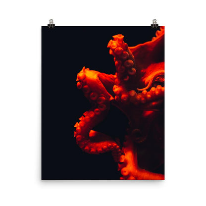 Wütender Oktopus - Poster artlia 41x51 cm artlia